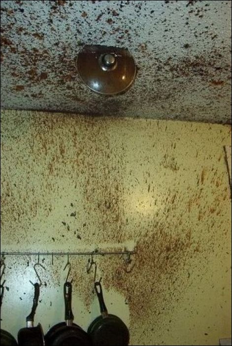 Подборка фотографий