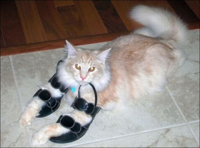 Подборка фотографий