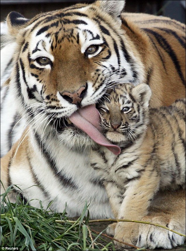 Подборка фотографий