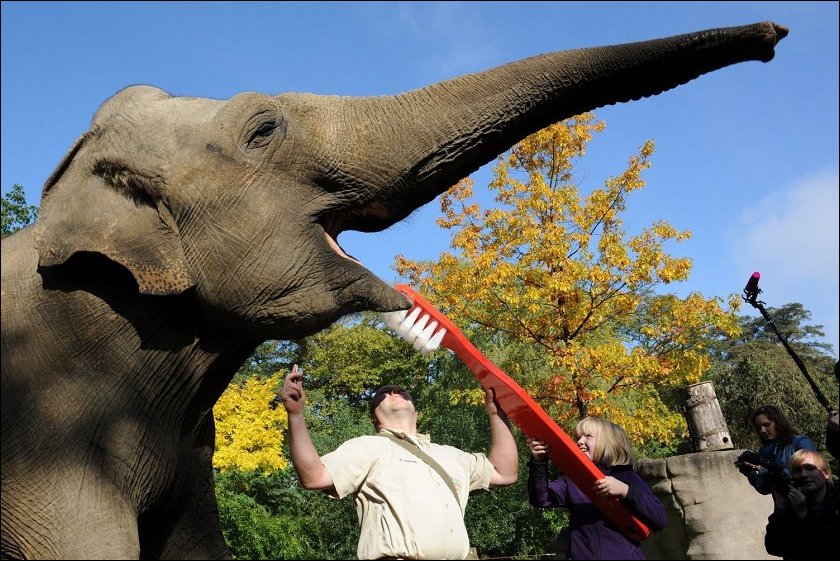 Подборка фотографий