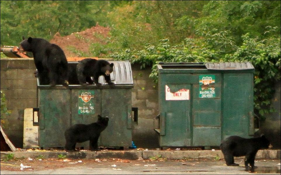 Подборка фотографий