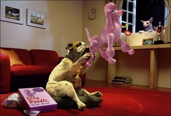 Подборка фотографий