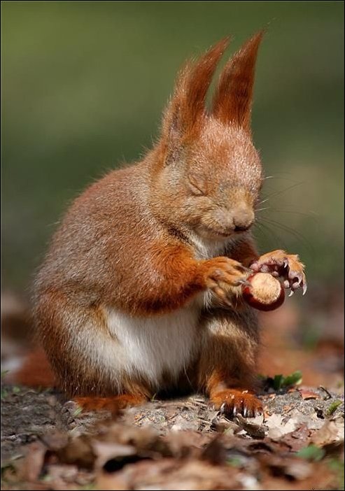 Подборка фотографий