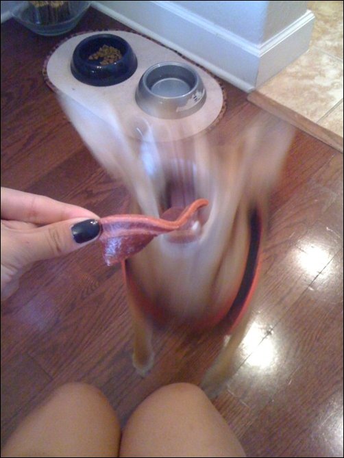 Подборка фотографий