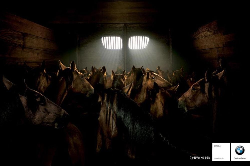 Подборка фотографий