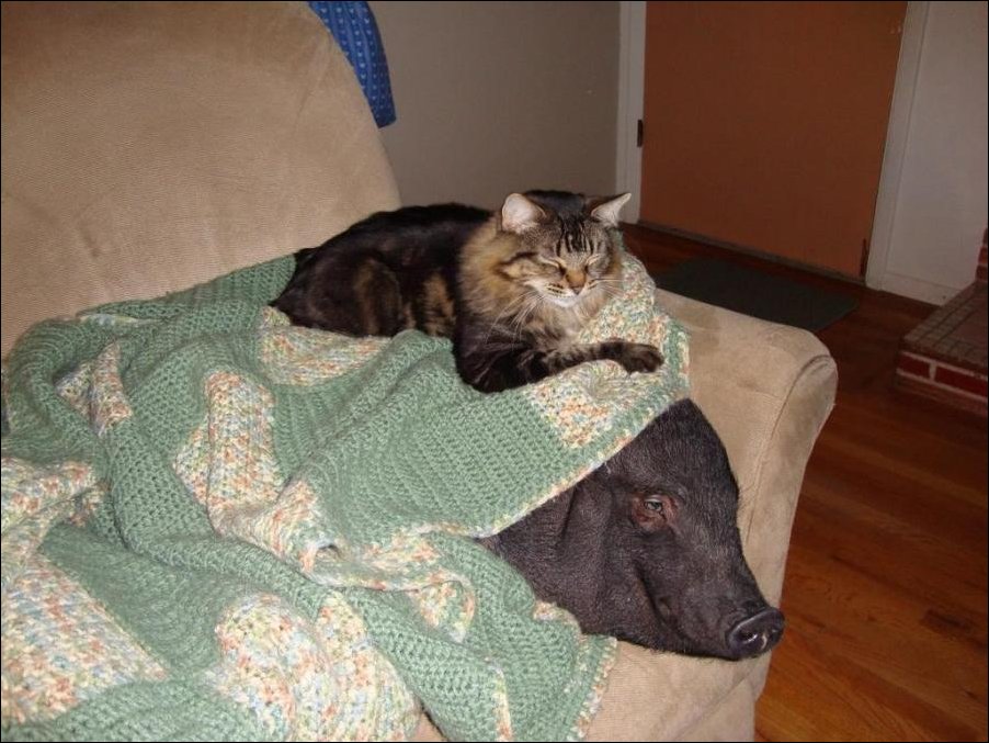 Подборка фотографий