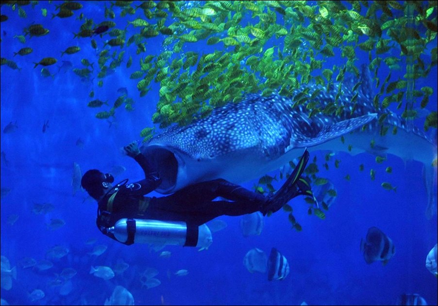 Подборка фотографий