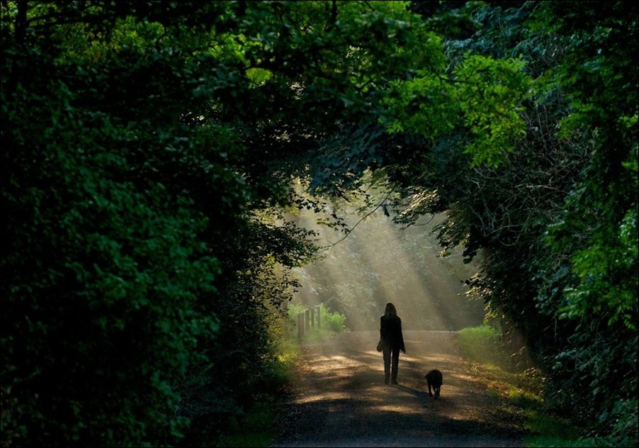 Подборка фотографий
