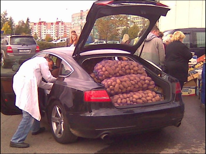 Подборка фотографий