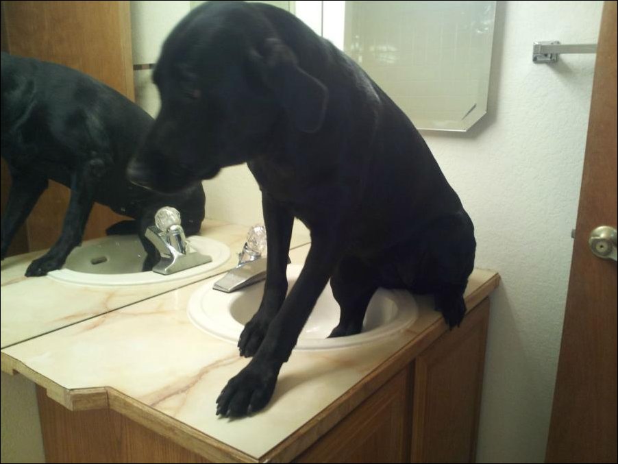 Подборка фотографий