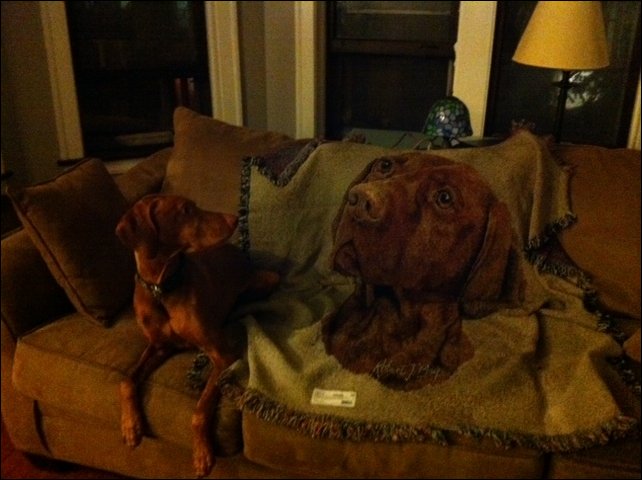 Подборка фотографий