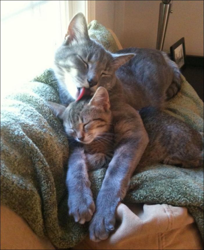 Подборка фотографий