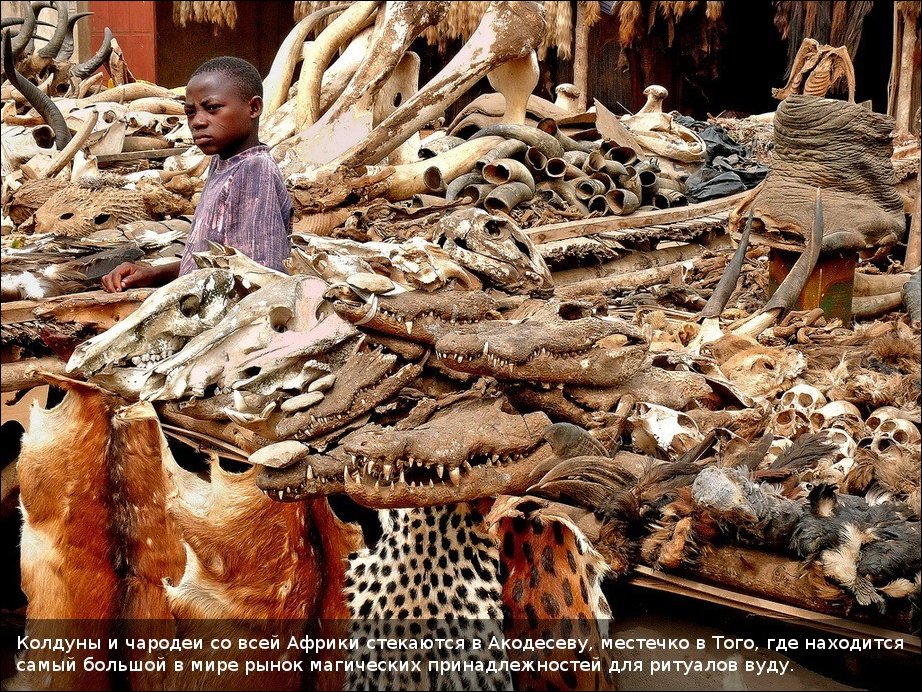 Вуду-маркет