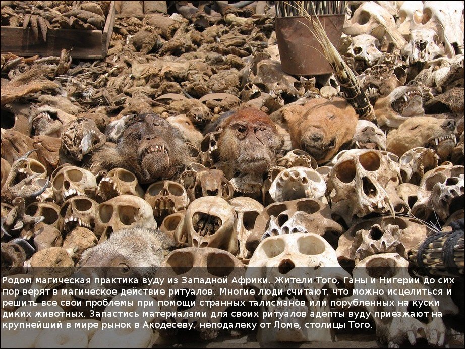 Вуду-маркет