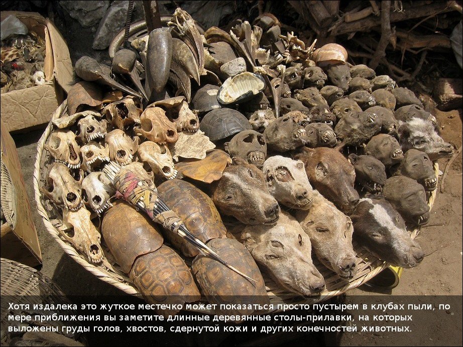 Вуду-маркет