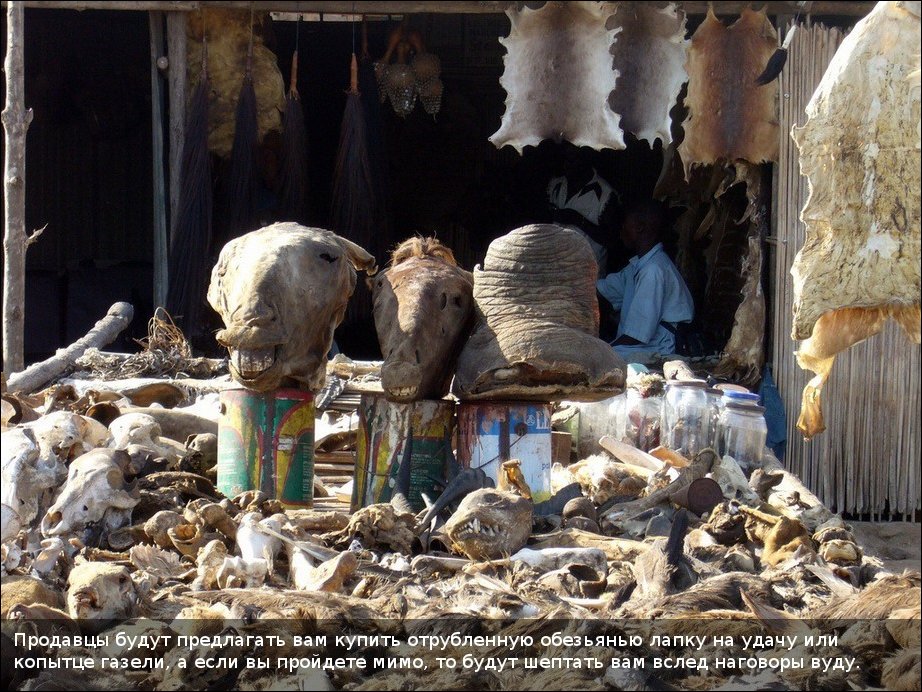 Вуду-маркет