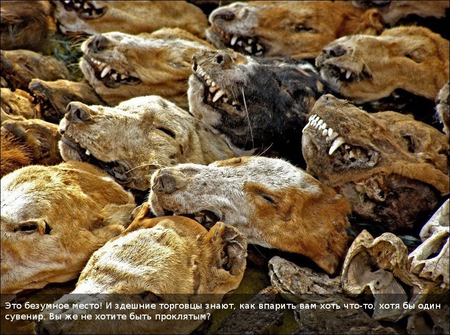 Вуду-маркет