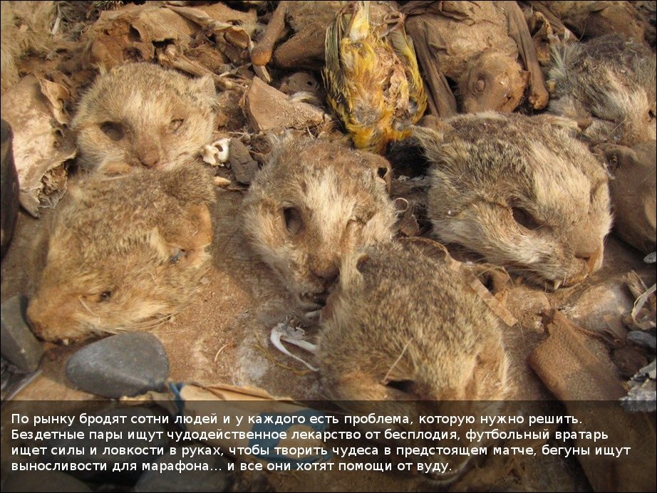 Вуду-маркет