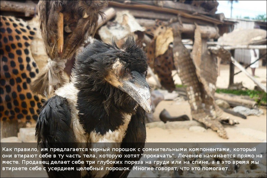 Вуду-маркет