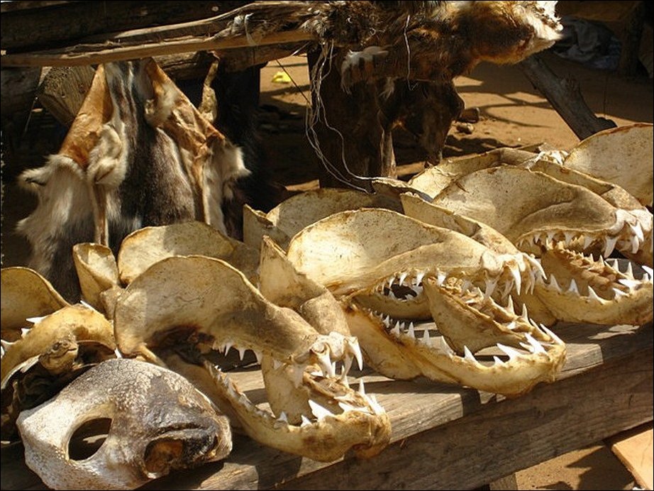 Вуду-маркет