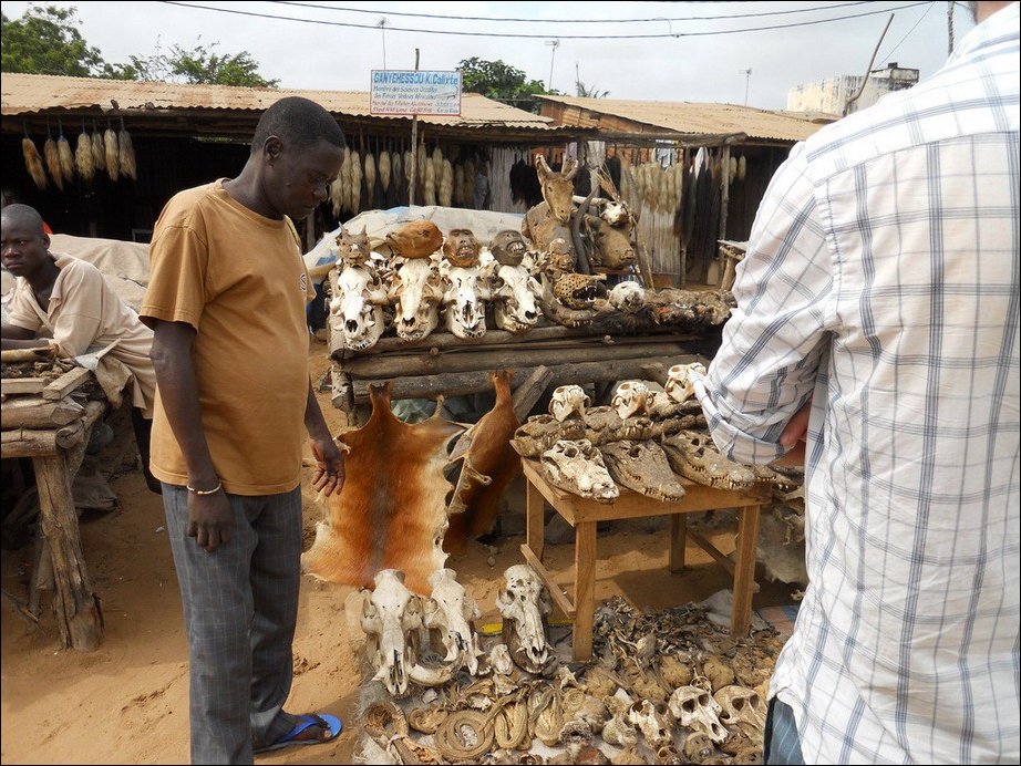 Вуду-маркет