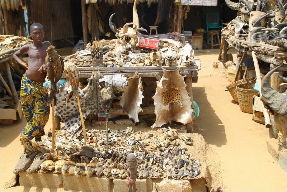 Вуду-маркет