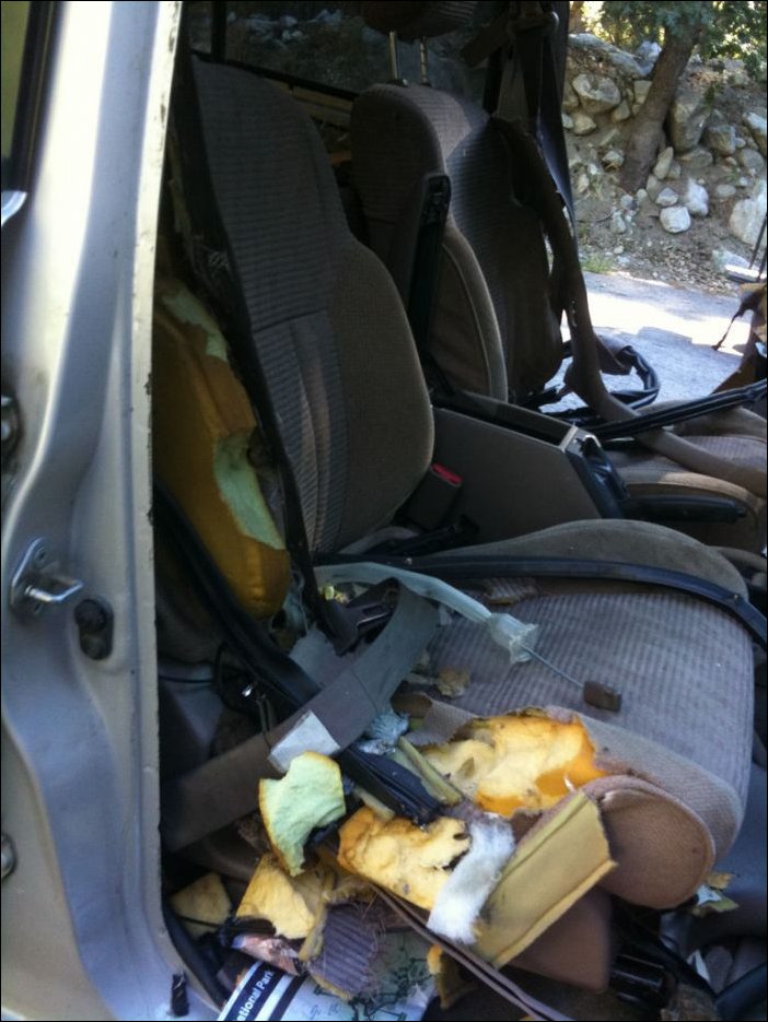 Медведь забрался в машину