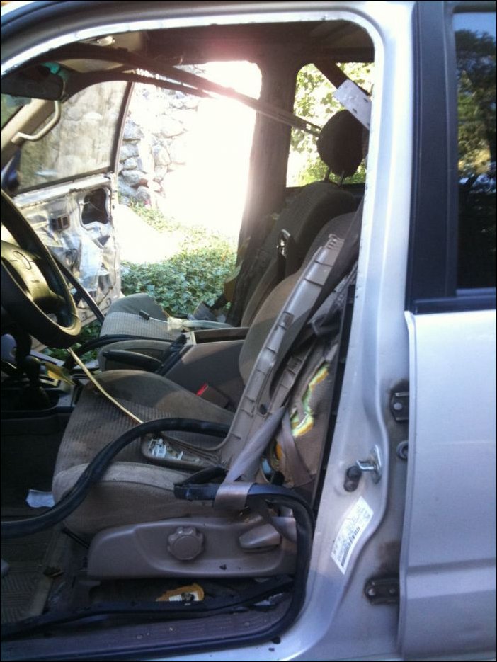 Медведь забрался в машину