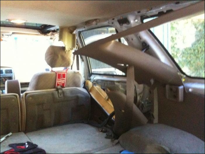 Медведь забрался в машину