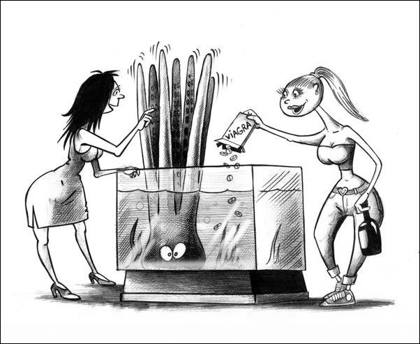 Комиксы и карикатуры