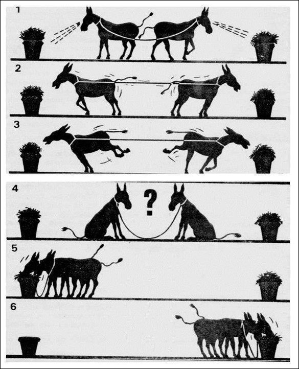 Комиксы и карикатуры