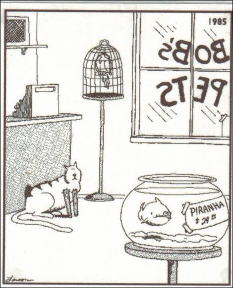 Комиксы и карикатуры