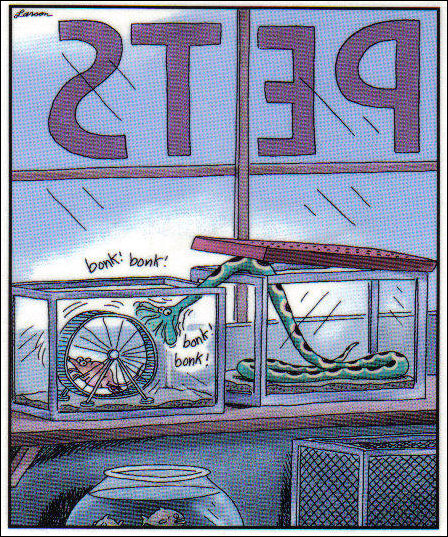 Комиксы и карикатуры