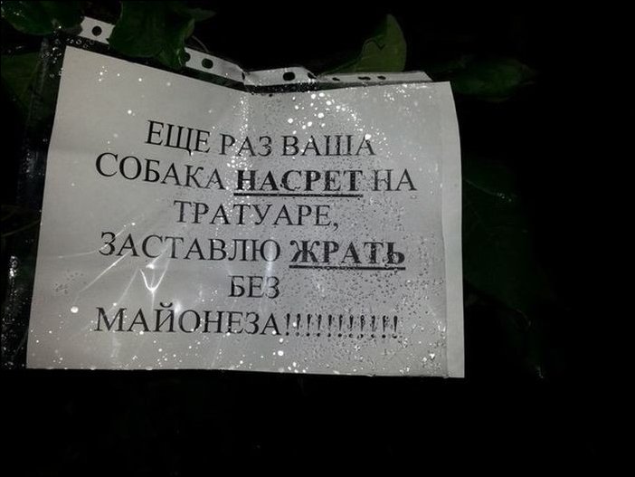 Прикольные надписи и объявления