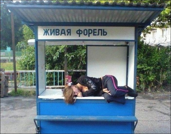 Прикольные надписи и объявления