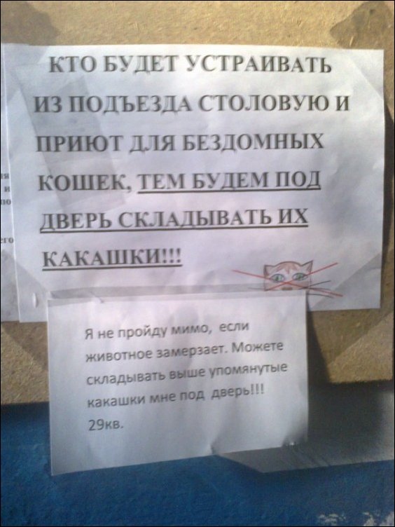 Прикольные надписи и объявления