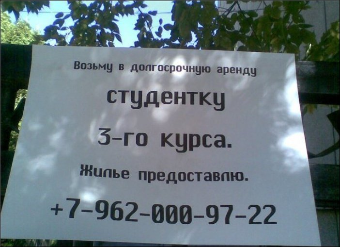 Прикольные надписи и объявления