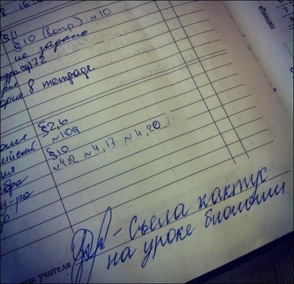 Прикольные надписи и объявления