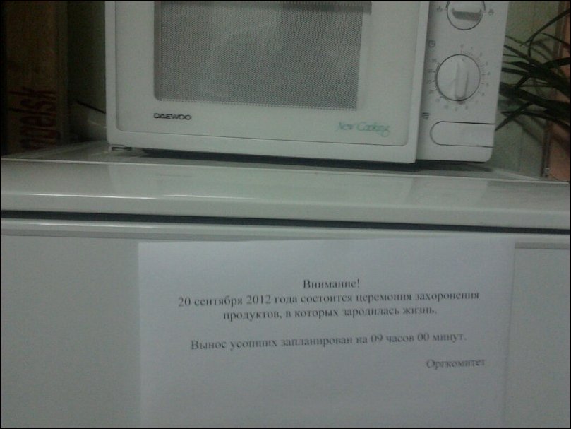 Прикольные надписи и объявления