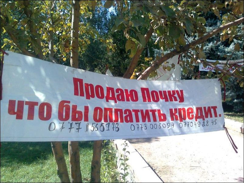 Прикольные надписи и объявления