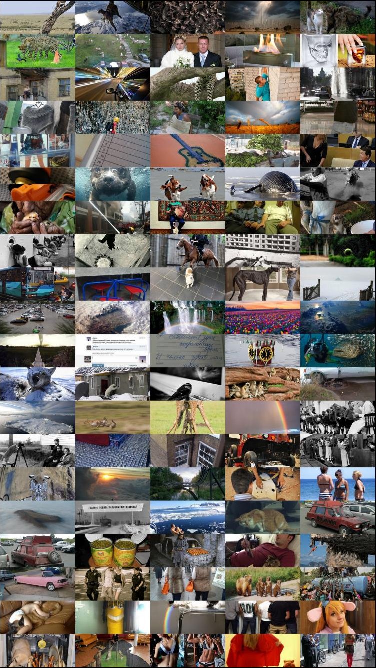 Подборка фотографий, фотоприколы