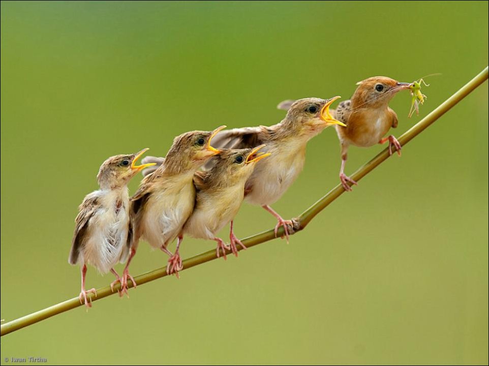 Подборка фотографий, фотоприколы