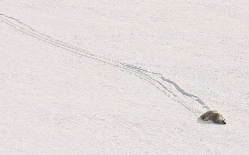 Подборка фотографий, фотоприколы