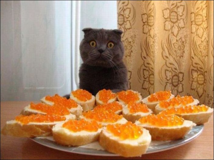 Подборка фотографий, фотоприколы