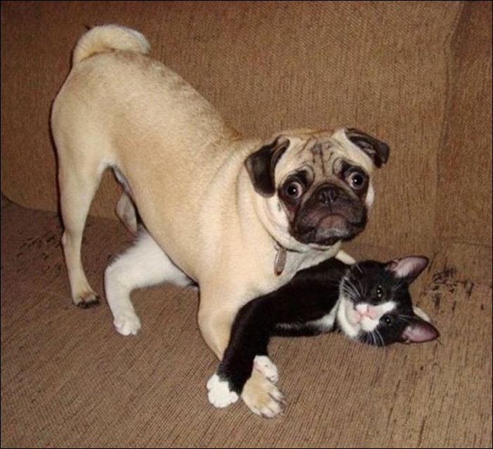 Подборка фотографий, фотоприколы