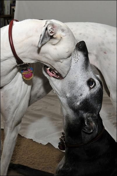 Подборка фотографий, фотоприколы