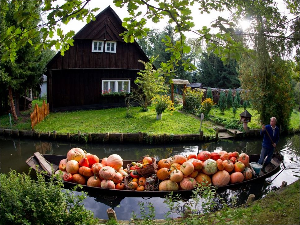 Подборка фотографий, фотоприколы