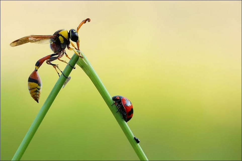 Подборка фотографий, фотоприколы