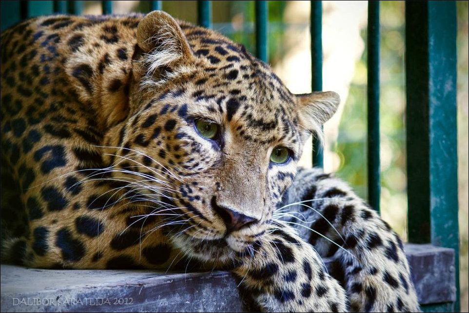 Подборка фотографий, фотоприколы