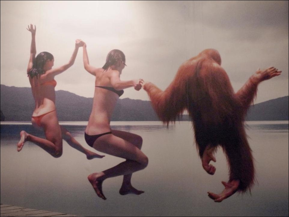 Подборка фотографий, фотоприколы